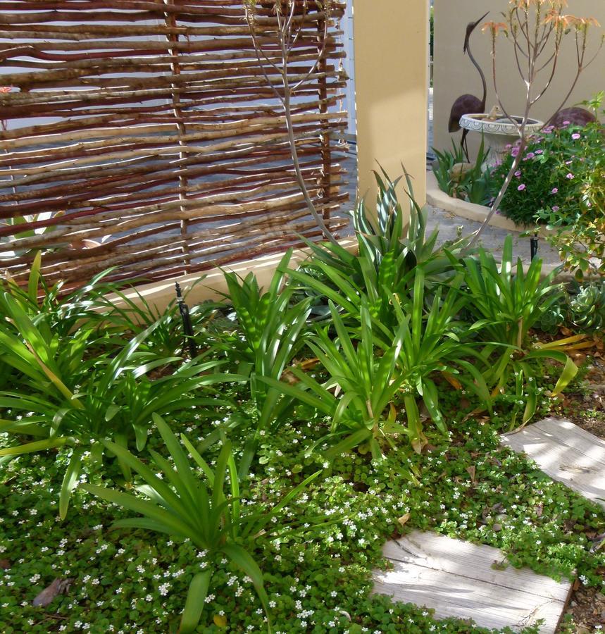 Anchorage Inn Guesthouse Montagu Exterior foto